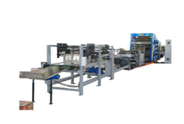 Flexo Printing Machine